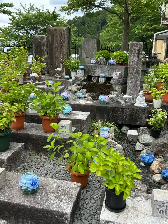 南法華寺(壷阪寺)(奈良県)