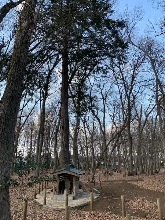 若狭山ノ神神社(埼玉県)