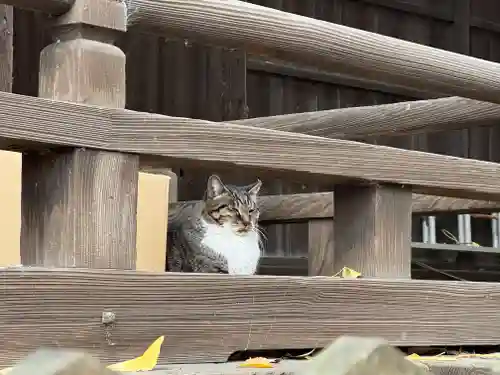 阿邪訶根神社(福島県)