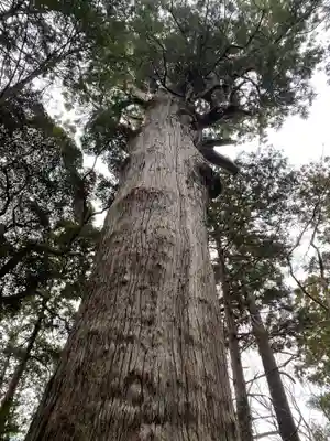麻賀多神社(千葉県)