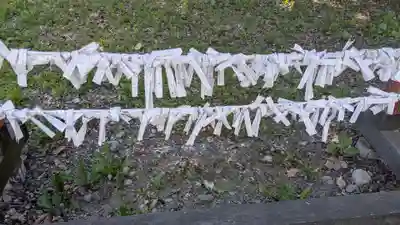 大樹神社のおみくじ
