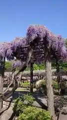 玉敷神社の庭園