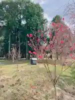 高平山遍照寺の自然