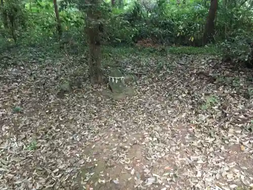 楯縫神社の自然