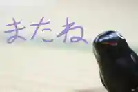 くまくま神社(導きの社 熊野町熊野神社)(東京都)