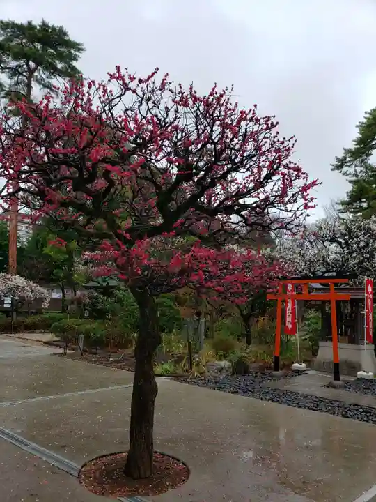 布多天神社(東京都)