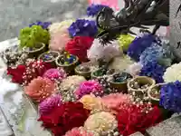 札幌諏訪神社の手水舎