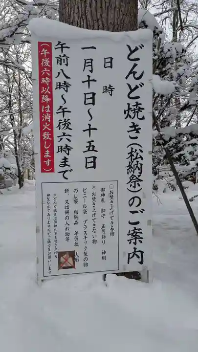 旭川神社の初詣