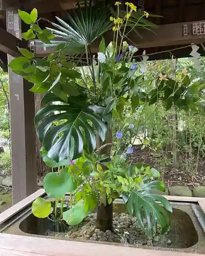 赤坂氷川神社(東京都)