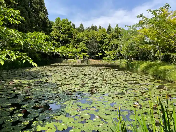 酬恩庵一休寺(京都府)