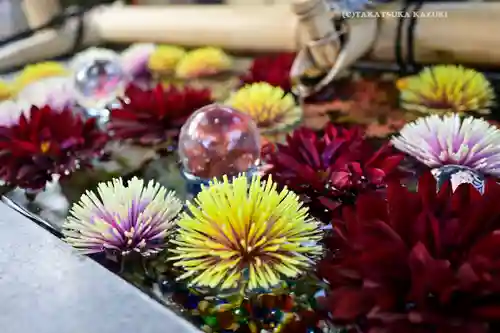 蛇窪神社(東京都)