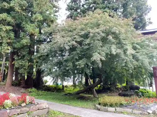 高照神社の自然