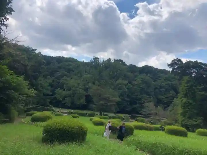 明治神宮(東京都)