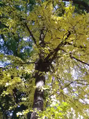 神明社(伊勢山神明社)(愛知県)