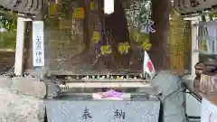 星置神社(北海道)