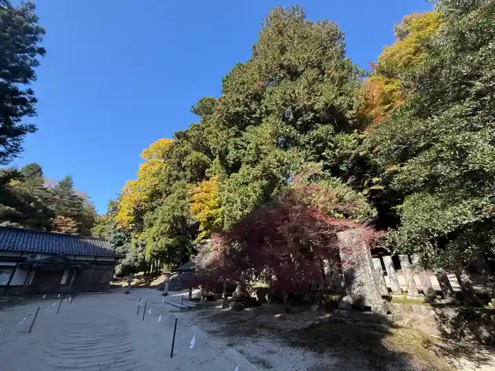 比沼麻奈為神社(京都府)