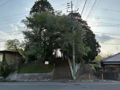 大宮神社(千葉県)