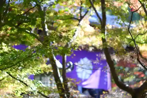禅林寺（永観堂）(京都府)