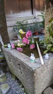 元祇園梛神社・隼神社(京都府)