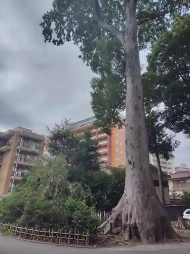 大國魂神社(東京都)