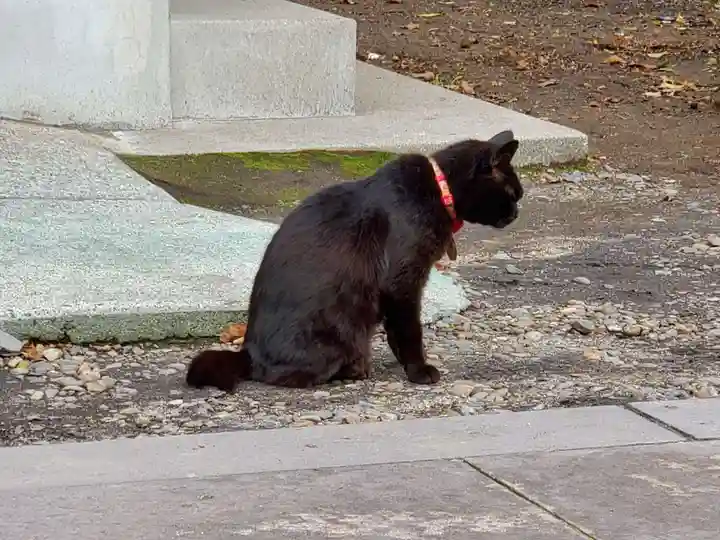 南洲神社の動物