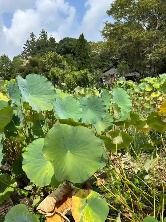 東輪寺(栃木県)
