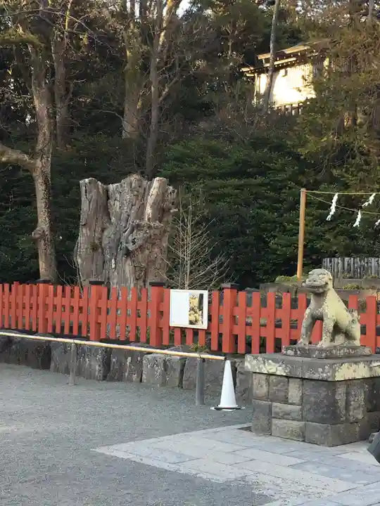 鶴岡八幡宮(神奈川県)