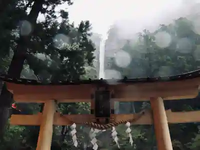 飛瀧神社（熊野那智大社別宮）の{uncategorized: "未分類", other: "その他", undefined: "問題あり", building: "その他建物", grave: "お墓", sacred_gate: "鳥居", guardian: "狛犬", statue: "像", buddha: "仏像", history: "歴史", nature: "自然", garden: "庭園", animal: "動物", pagoda: "塔", temizu: "手水舎", mountain_gate: "山門・神門", sanctuary: "本殿・本堂", subordinate: "末社・摂社", art: "芸術", scenery: "景色", jizo: "地蔵", ema: "絵馬", goshuin: "御朱印", omikuji: "おみくじ", items: "授与品その他", amulet: "お守り", goshuincho: "御朱印帳", eats: "食事", festival: "お祭り", votive_dance: "神楽", shichigosan: "七五三参", wedding: "結婚式", experience: "体験その他", initially: "初詣", around: "周辺", anti_infection: "感染症対策"}