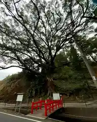 蛭児神社の自然