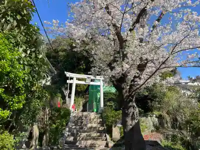 熊野神社（杉田・中原）(神奈川県)