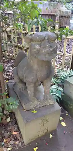 渋谷氷川神社の狛犬