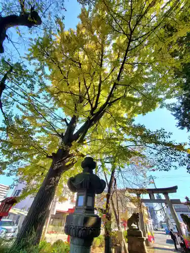 神炊館神社 ⁂奥州須賀川総鎮守⁂(福島県)