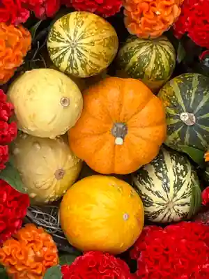 上尾御嶽神社の手水舎