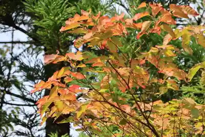 高司神社〜むすびの神の鎮まる社〜(福島県)