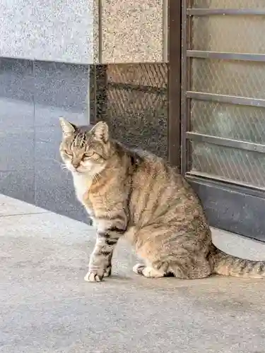 白金氷川神社(東京都)