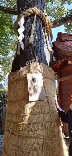 堀越神社の自然