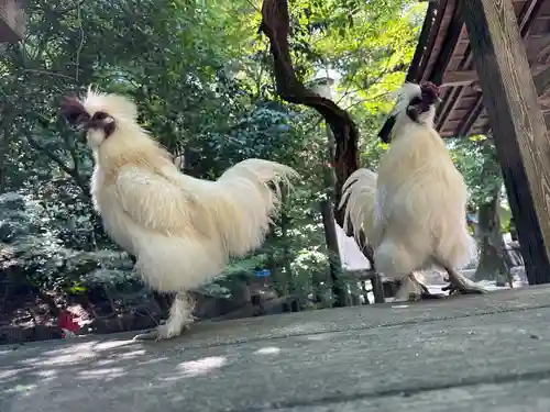 石上神宮(奈良県)