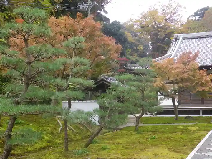 長壽寺(長寿寺)の庭園