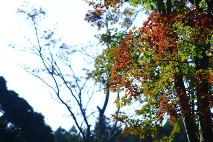 吉野神宮(奈良県)