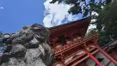 今宮神社の狛犬