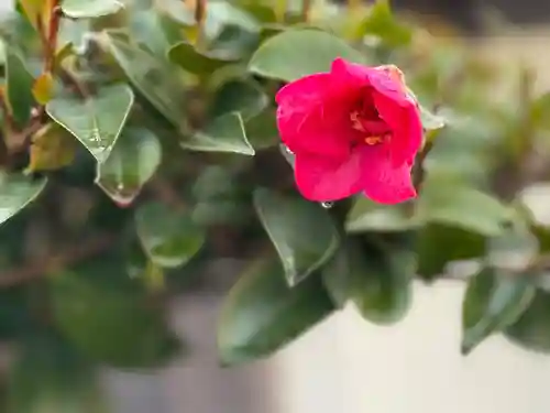 西方山極楽寺(岐阜県)