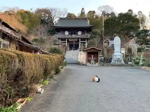 森厳寺のその他建物