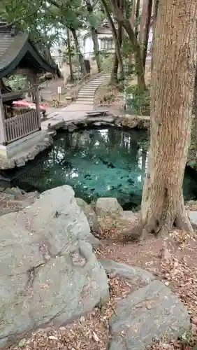 泉神社の{uncategorized: "未分類", other: "その他", undefined: "問題あり", building: "その他建物", grave: "お墓", sacred_gate: "鳥居", guardian: "狛犬", statue: "像", buddha: "仏像", history: "歴史", nature: "自然", garden: "庭園", animal: "動物", pagoda: "塔", temizu: "手水舎", mountain_gate: "山門・神門", sanctuary: "本殿・本堂", subordinate: "末社・摂社", art: "芸術", scenery: "景色", jizo: "地蔵", ema: "絵馬", goshuin: "御朱印", omikuji: "おみくじ", items: "授与品その他", amulet: "お守り", goshuincho: "御朱印帳", eats: "食事", festival: "お祭り", votive_dance: "神楽", shichigosan: "七五三参", wedding: "結婚式", experience: "体験その他", initially: "初詣", around: "周辺", anti_infection: "感染症対策"}
