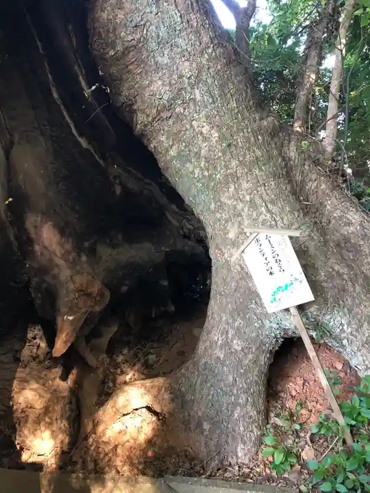 五所八幡宮のその他建物