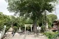枚岡神社のその他建物