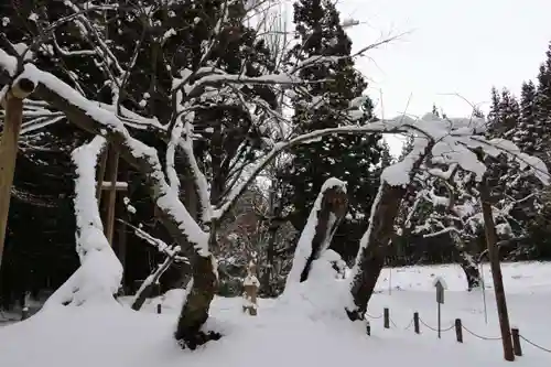 磐椅神社の自然