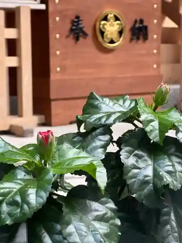 須山浅間神社(静岡県)