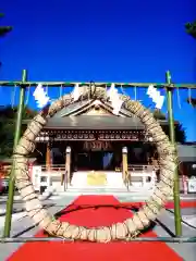 中野沼袋氷川神社(東京都)