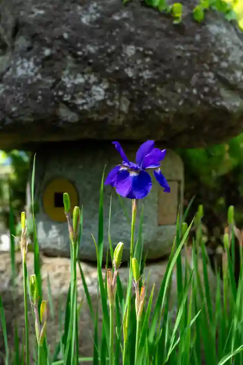 山家神社(長野県)
