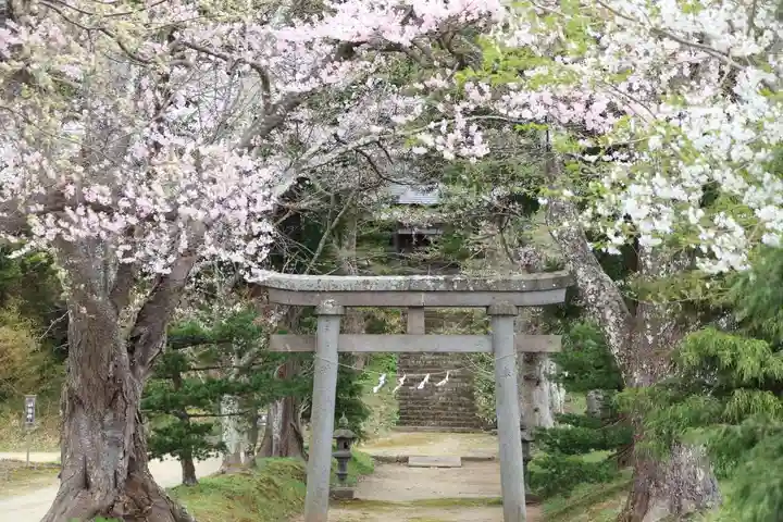 白幡八幡神社の鳥居